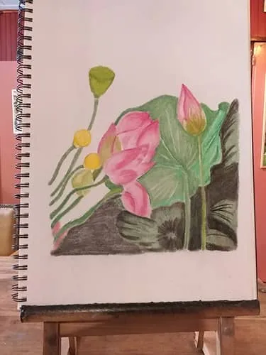 Anja Noordmans - Tekening van een lotus gemaakt met Derwent pastelpotloden